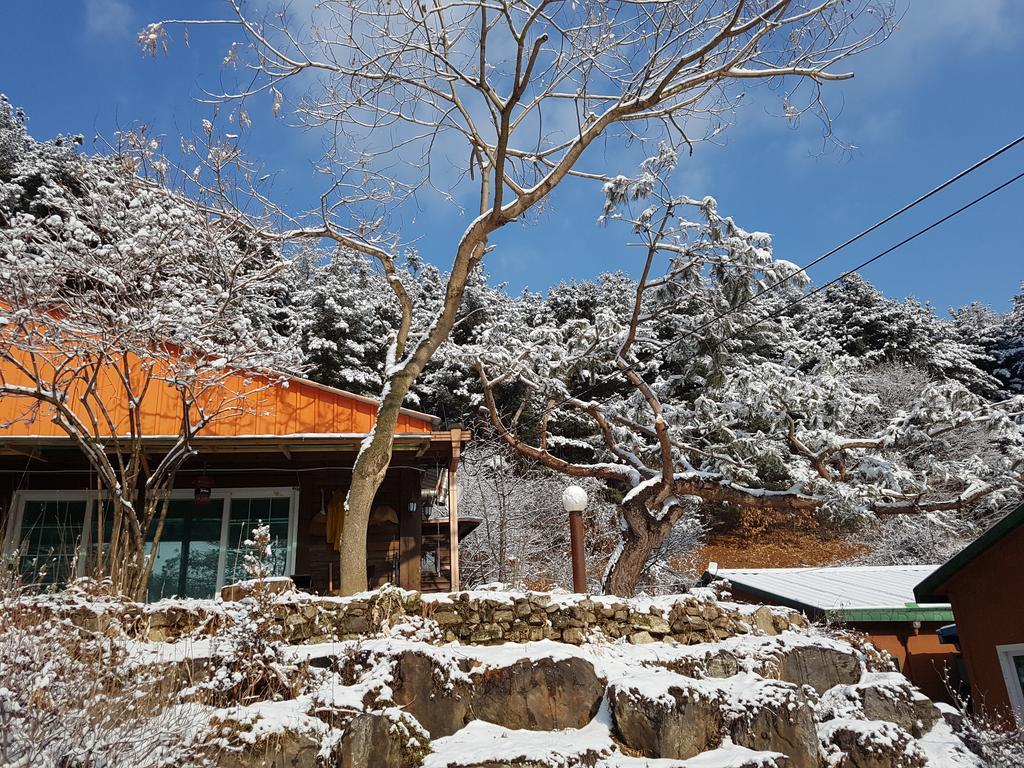 Bluesky Pension Pocheon Bagian luar foto