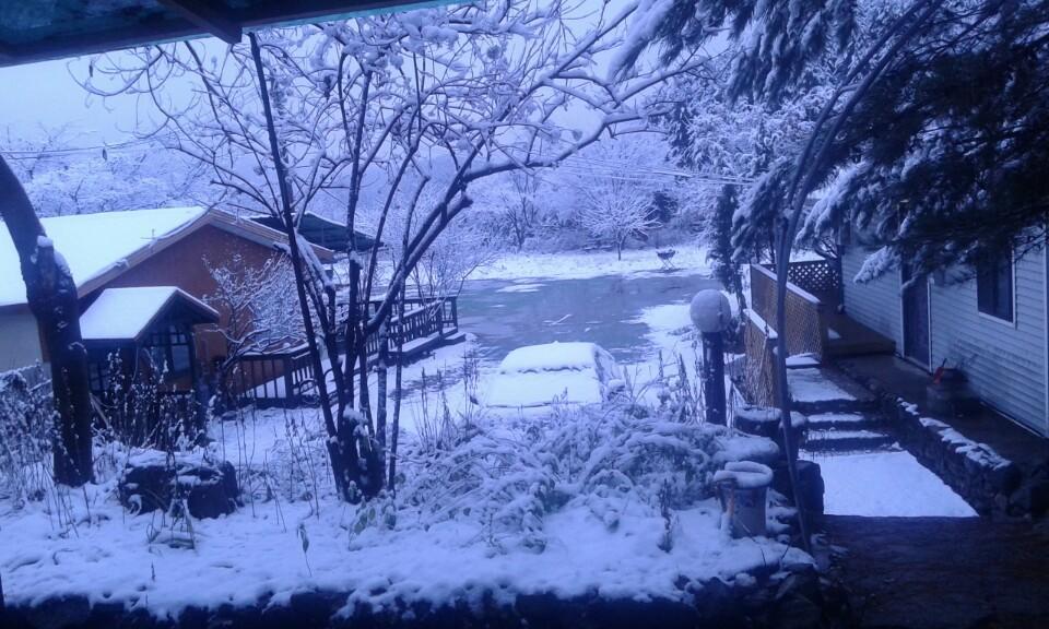 Bluesky Pension Pocheon Bagian luar foto