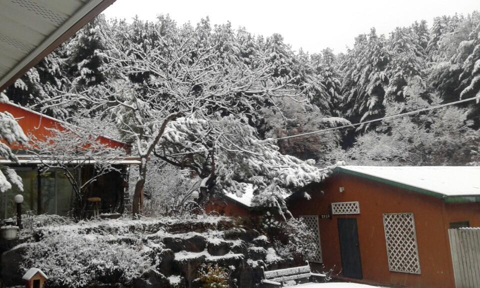 Bluesky Pension Pocheon Bagian luar foto