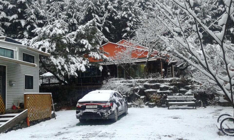 Bluesky Pension Pocheon Bagian luar foto