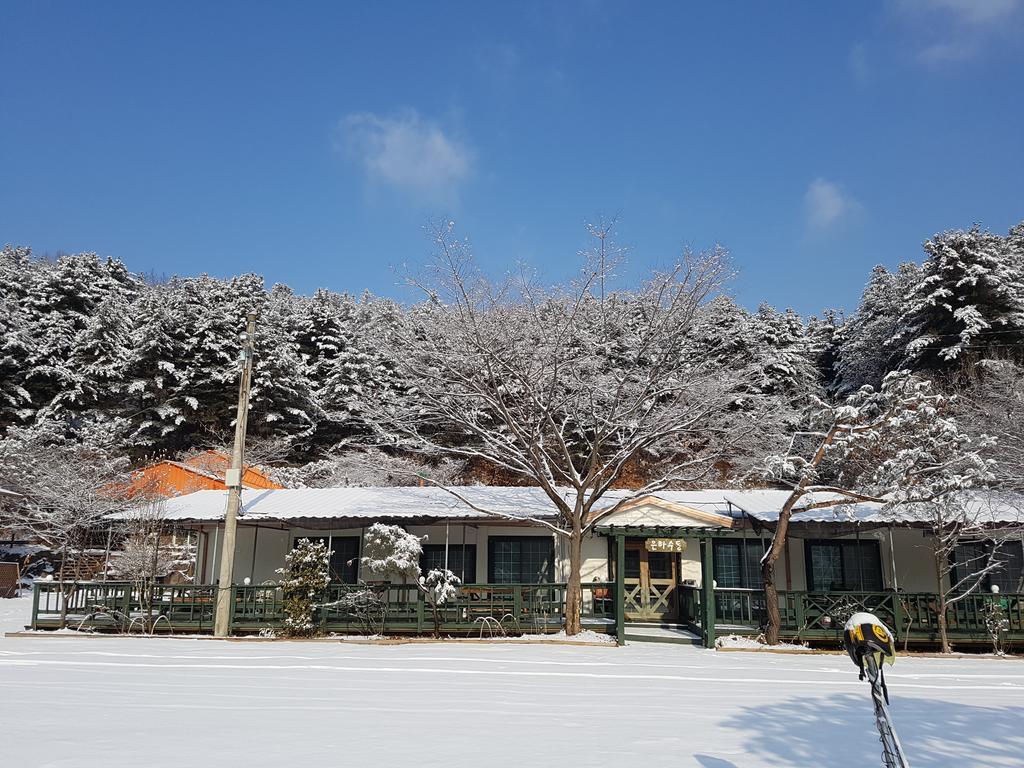 Bluesky Pension Pocheon Bagian luar foto
